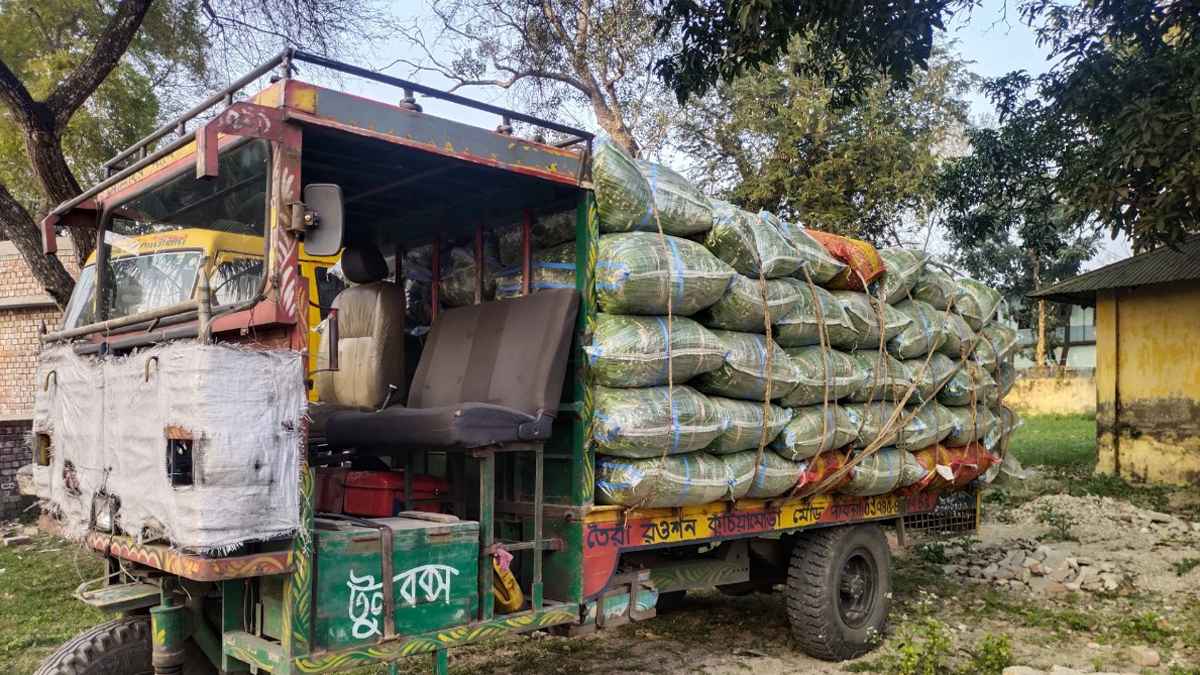 পাবনায় নছিমনের চাকায় পিষ্ট হয়ে শিশু নিহত