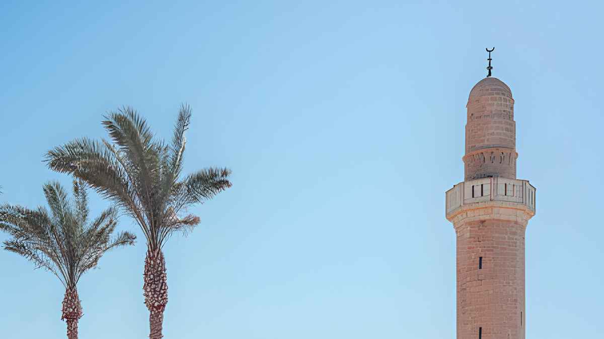 দাওয়াত ও তাবলিগ কেন গুরুত্বপূর্ণ