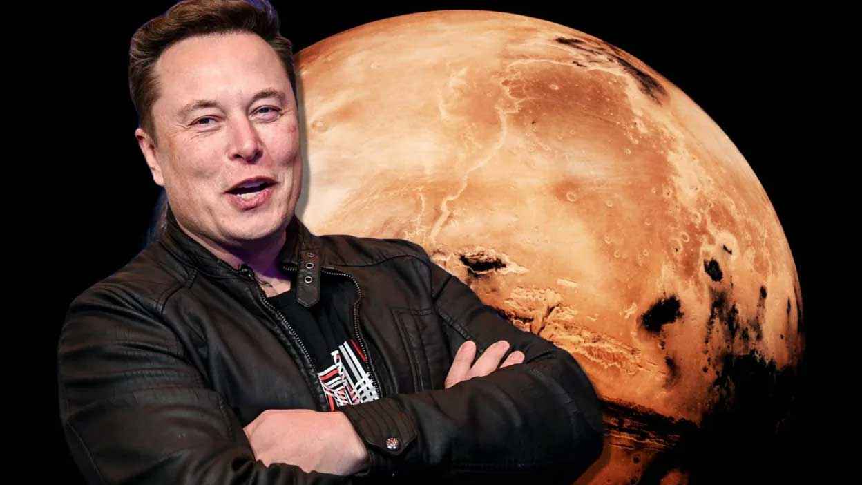 Siz mushukingizni nima bilan yoglaysiz?