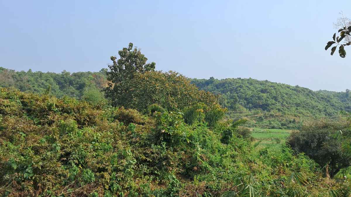 ঘুমধুমবাসীর নির্ঘুমরাত, এলাকা থমথমে