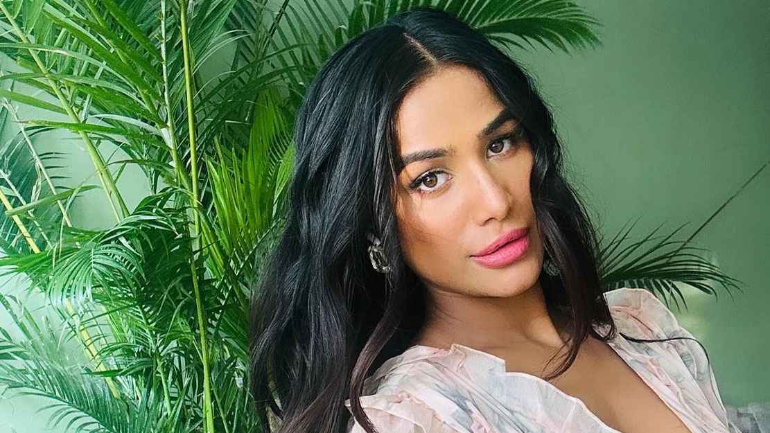 ক্যানসারে নয়, অতিরিক্ত মদ্যপানে মৃত্যু হয়েছে পুনমের!