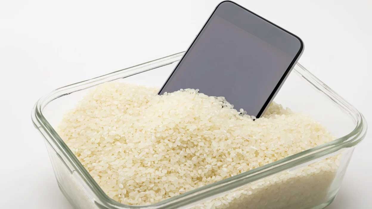 rice-pic