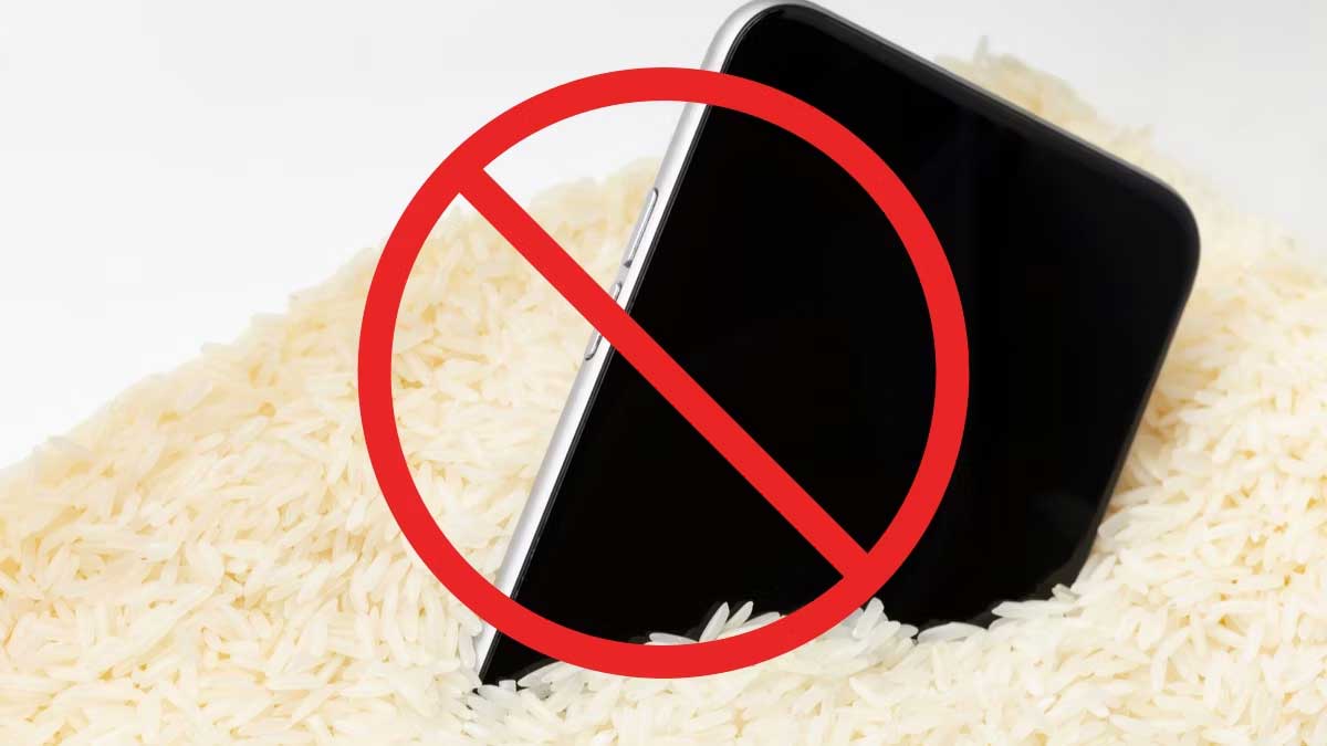 rice