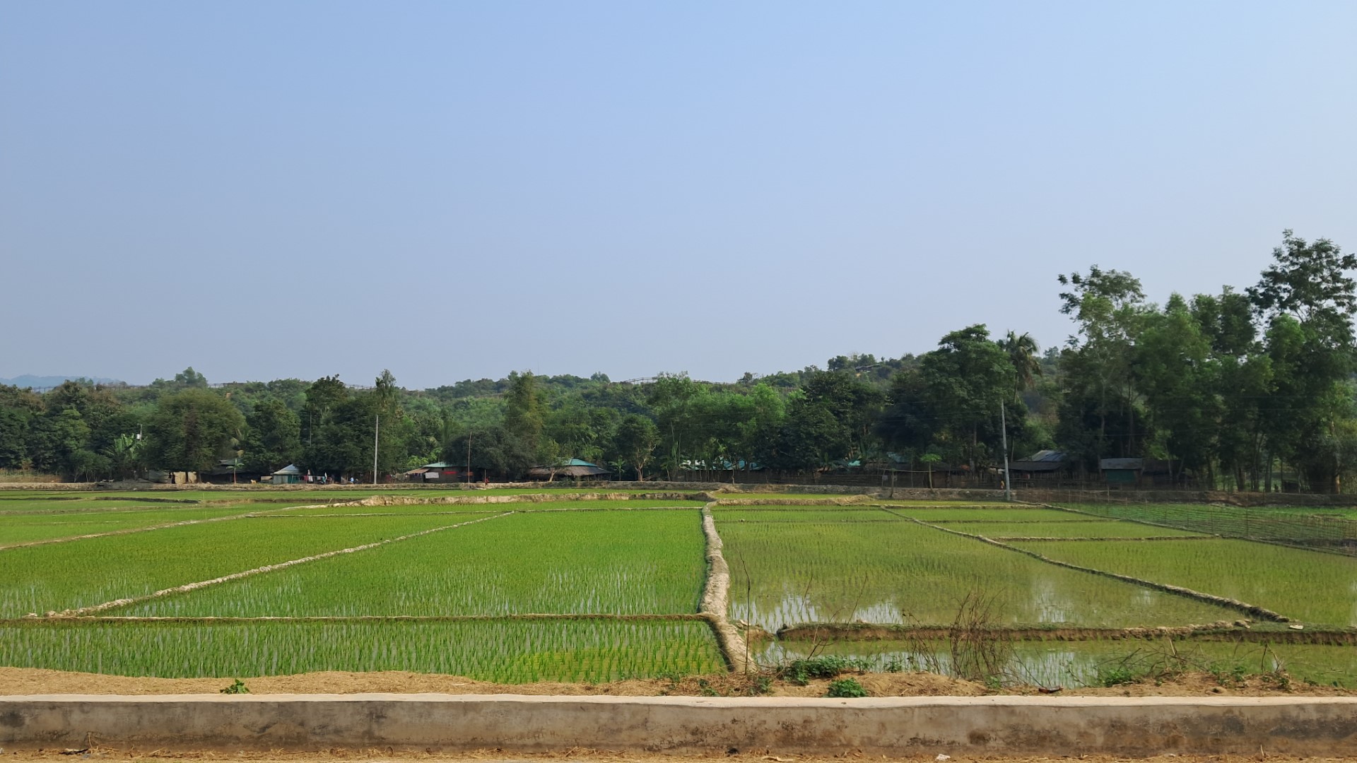 thumbnail_20240131_135314(0)