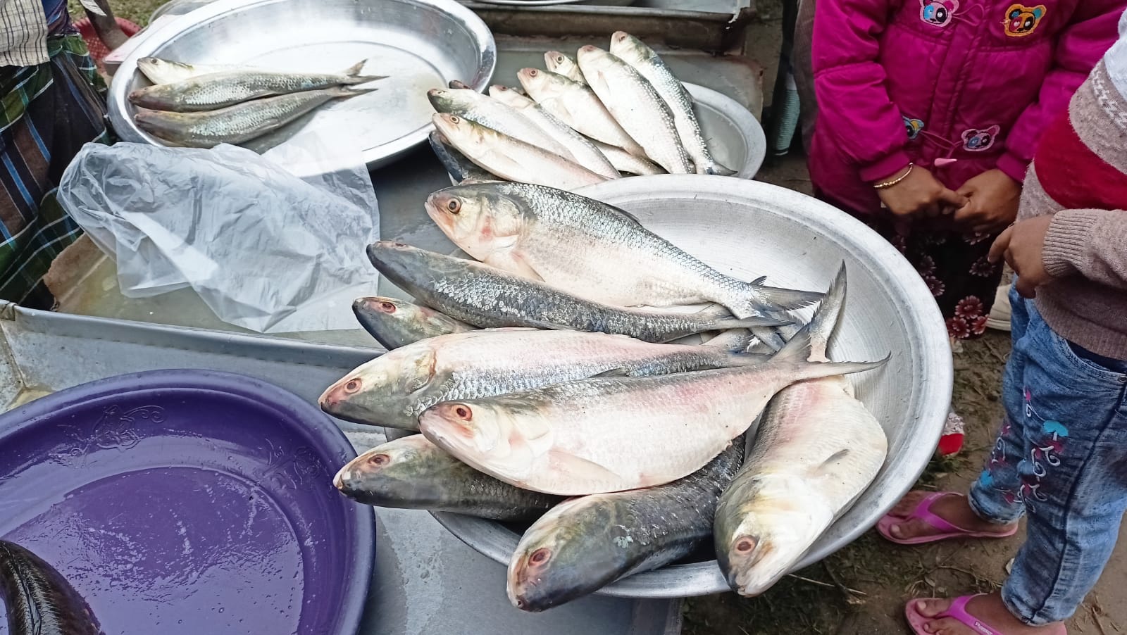 IMG-20240116-WA0005 IMG-20240116-WA0005