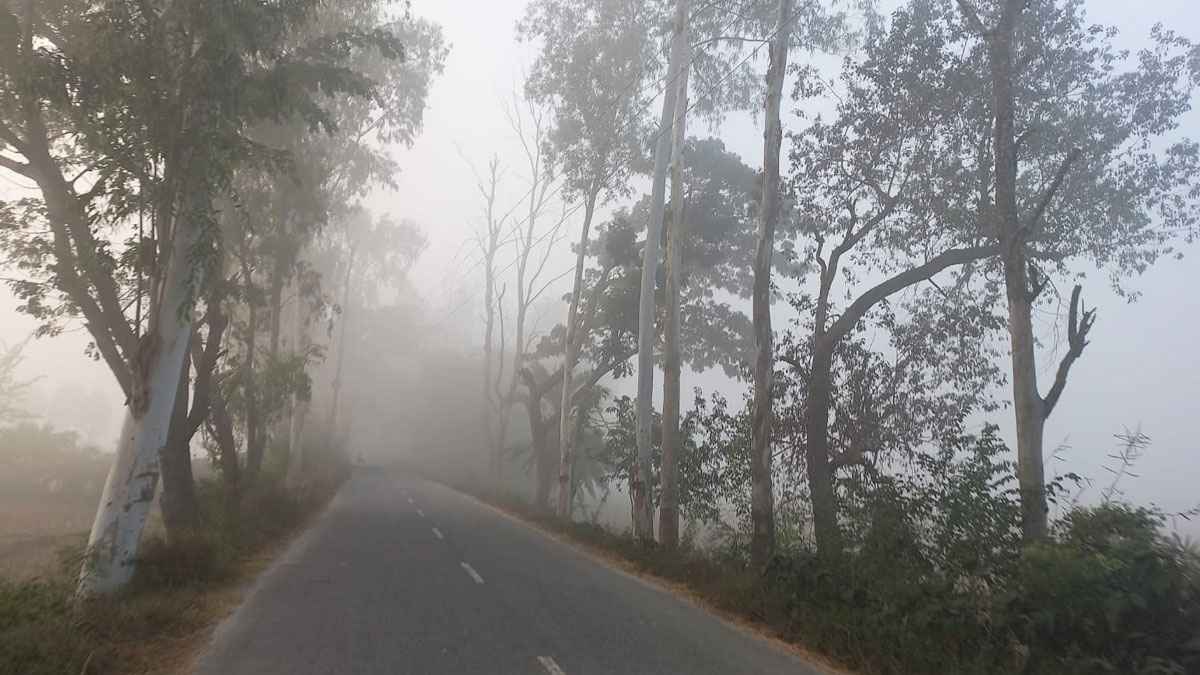 সিরাজগঞ্জের রোদের দেখা মিললেও ৬ ডিগ্রির ঘরে তাপমাত্রা