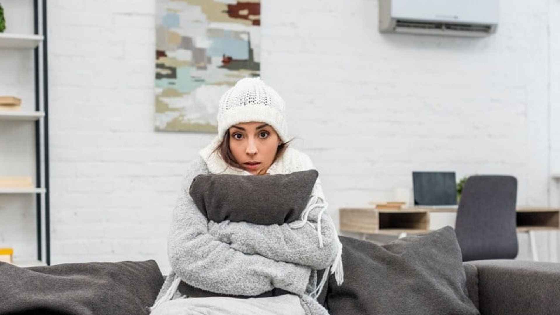 প্রচণ্ড শীতে এসি ৩০ ডিগ্রি সেলসিয়াসে চালালে কি ঘরের উষ্ণতা বাড়বে? 