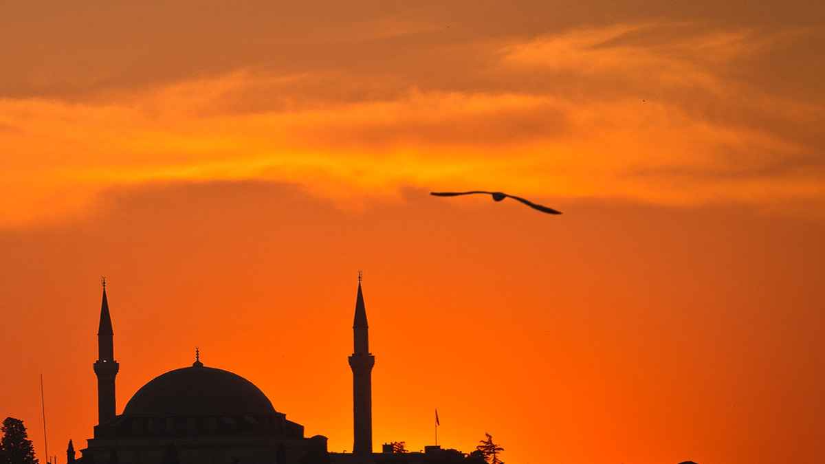 যেসব ফেতনার ব্যাপারে বিশেষভাবে সতর্ক করেছেন নবীজি