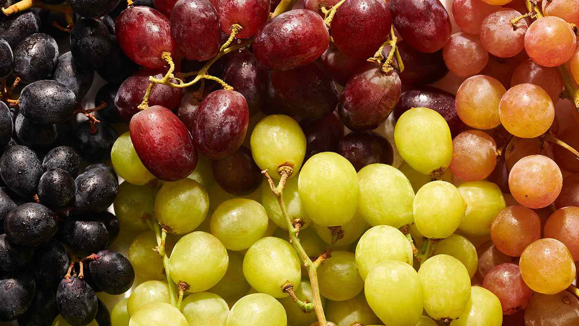 grape grape
