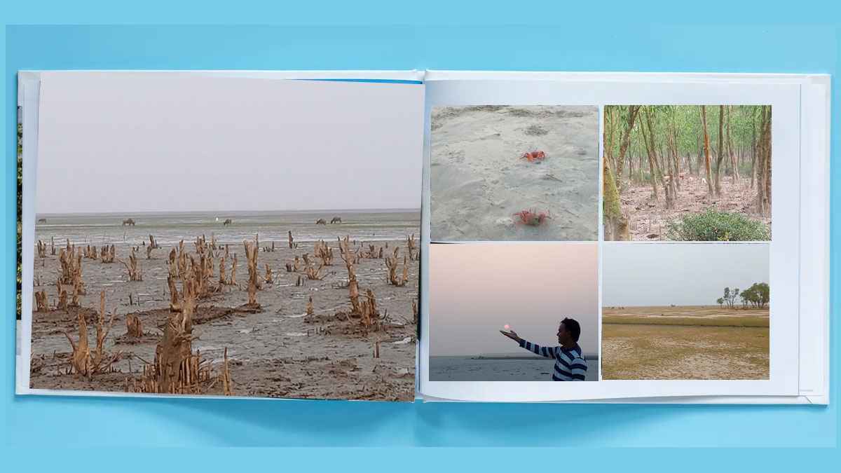 দর্শনার্থী শূন্য হাতিয়ার লালচর সৈকত 