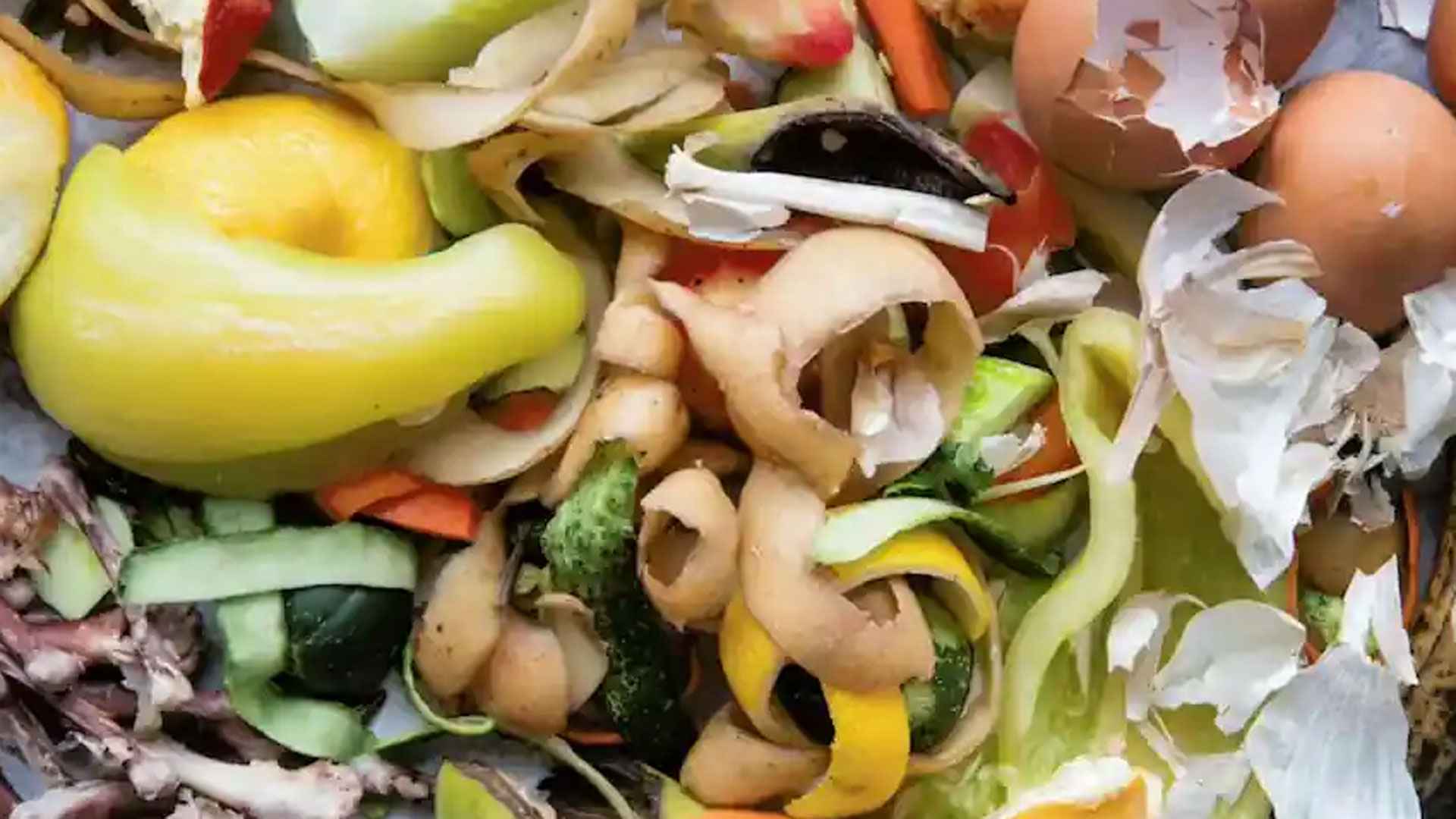 এই ৩ সবজির খোসা পুষ্টির খনি