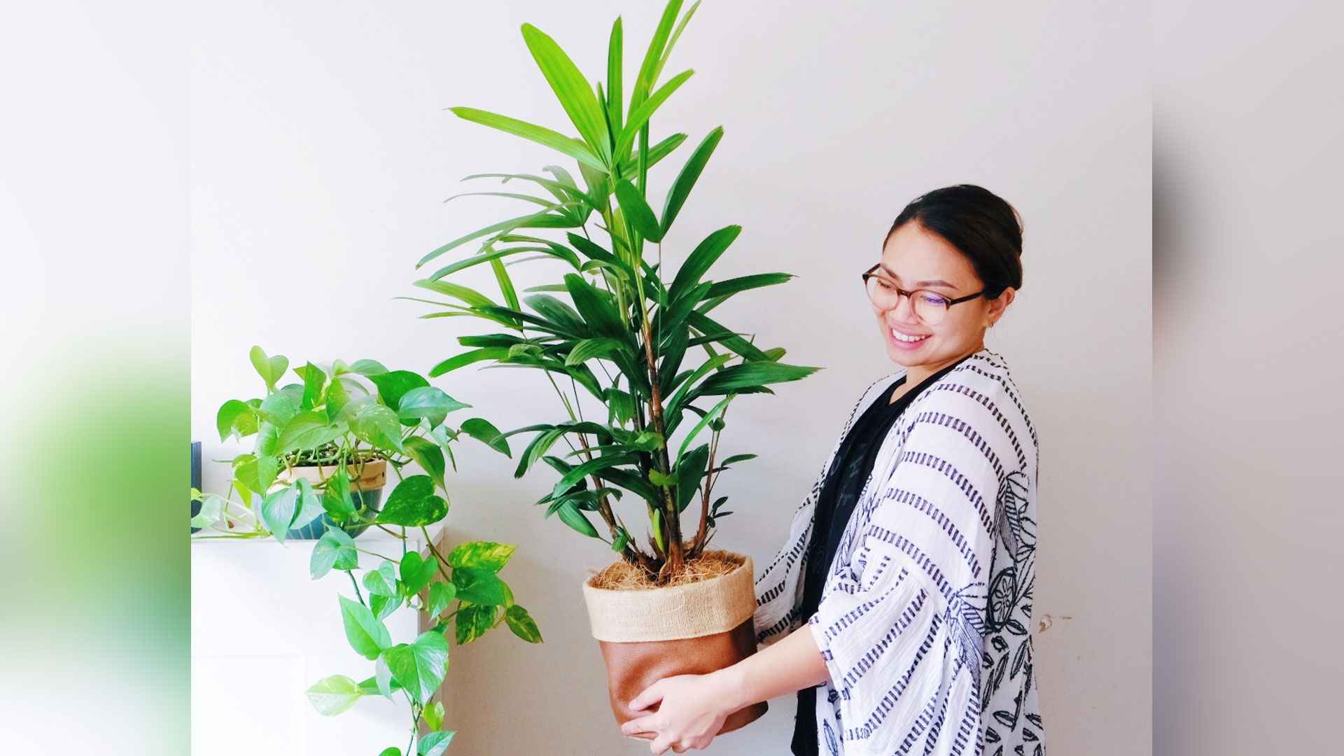 শীতে গাছের যত্নে করণীয় 