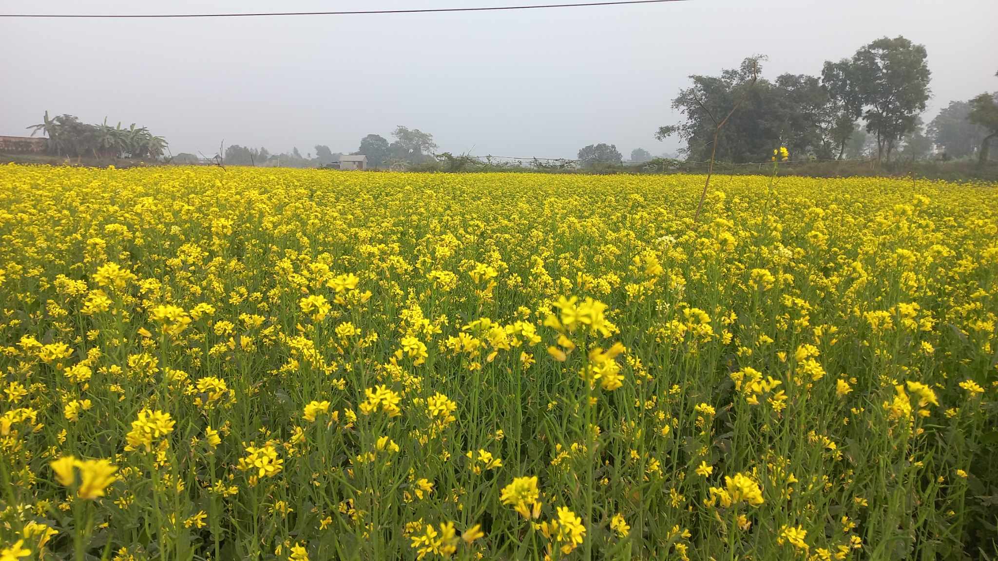 received_757180382929327