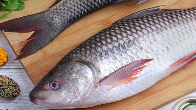 রুই মাছ খেলে কী হয়?