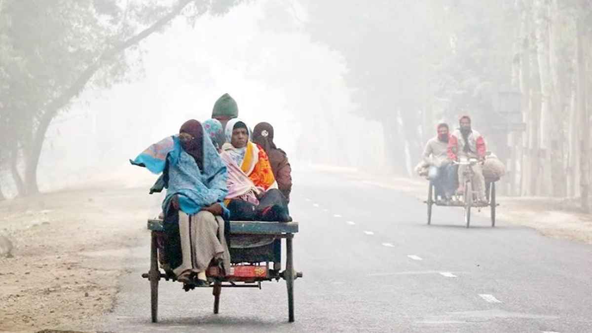 ১৩ জেলায় বইছে শৈত্যপ্রবাহ