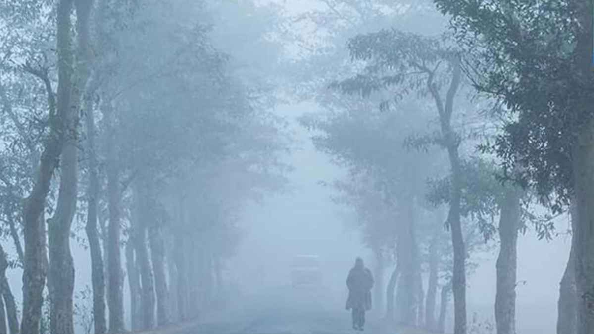 ভোটের দিন যেমন থাকবে আবহাওয়া