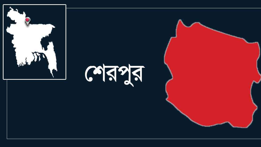 ৬ষ্ঠ শ্রেণির ছাত্রীকে ধর্ষণচেষ্টার অভিযোগে শিক্ষক গ্রেফতার
