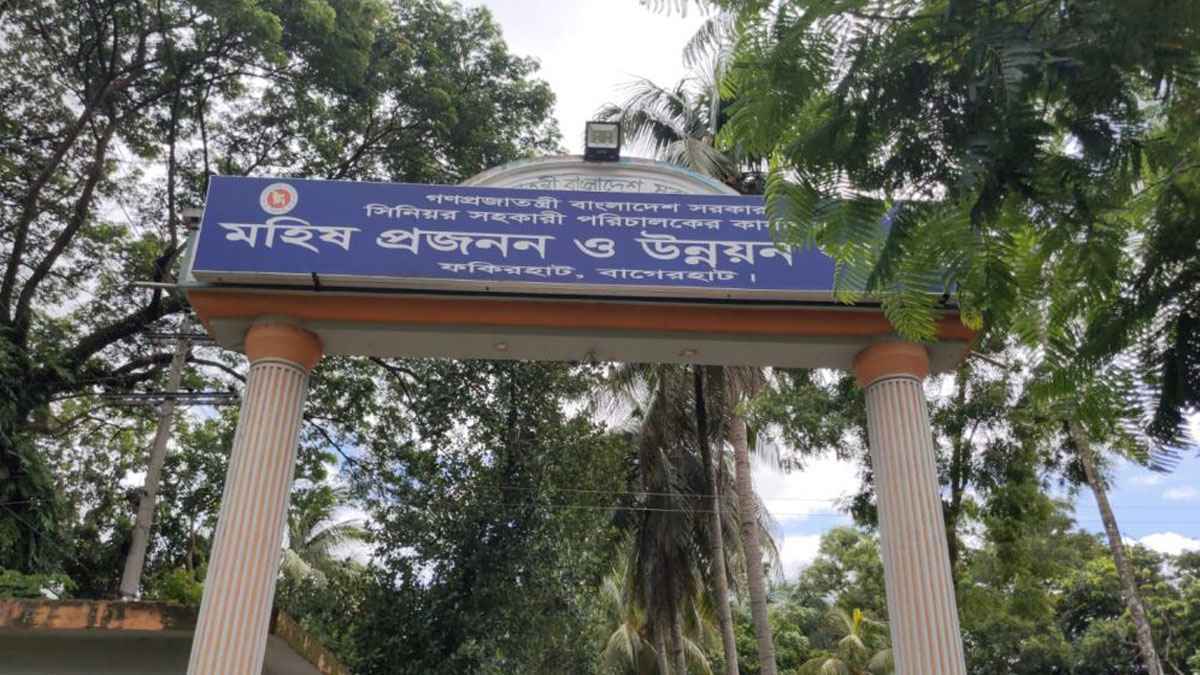 বাগেরহাটে মহিষ প্রজনন খামারে ২১ মহিষের মৃত্যু, তদন্ত শুরু