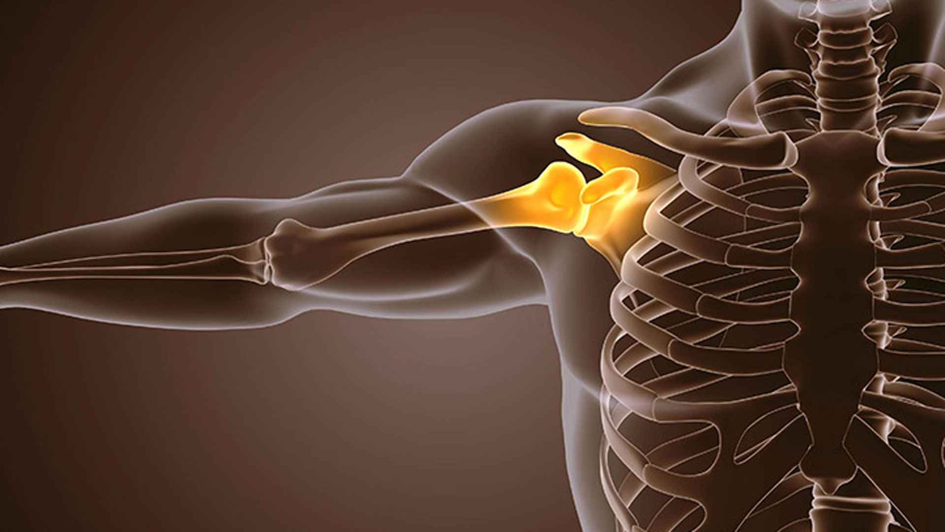 হাড় মজবুত করে যেসব খাবার