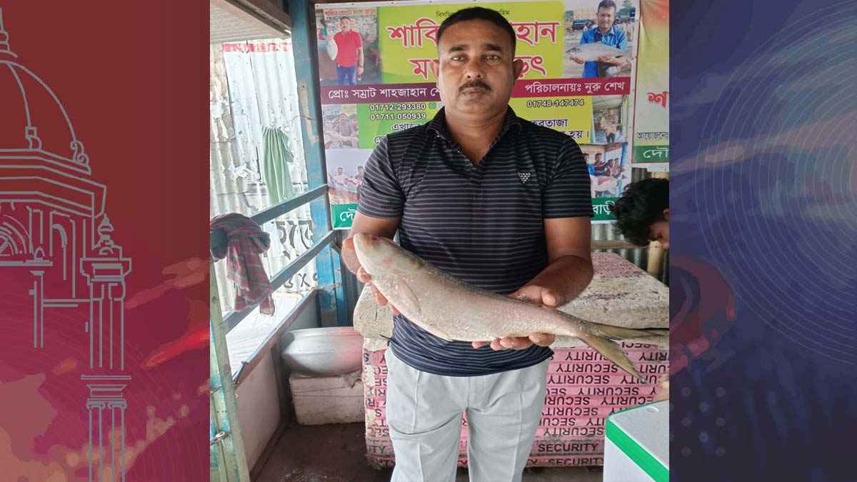 এক ইলিশের দাম ৬ হাজার ৩০০ টাকা