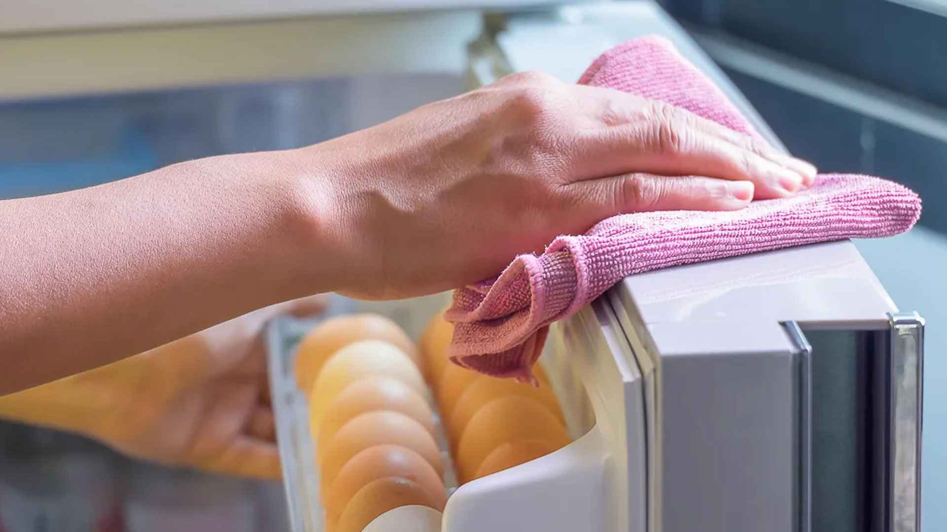 বর্ষায় ফ্রিজের চাই বিশেষ যত্ন