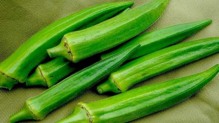 image_750x422_5ebf9acfa3f19 image_750x422_5ebf9acfa3f19