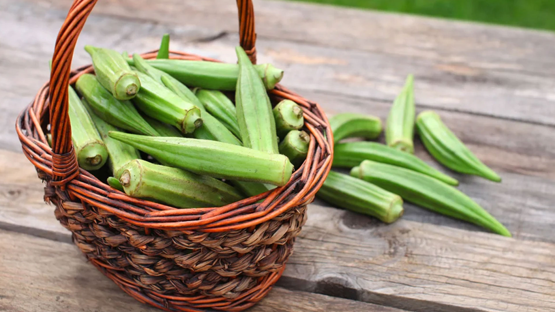 lady-finger2 lady-finger2