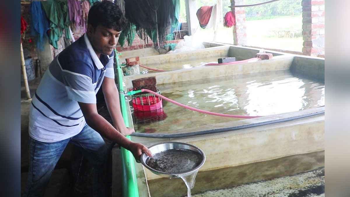 চাকরি ছেড়ে দেশীয় মাছের ডিম থেকে রেণু উৎপাদন, কোটিপতি পিয়াল