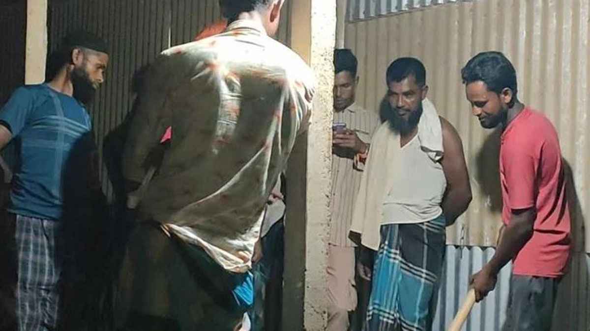 রাসেলস ভাইপার ভেবে অজগর সাপের বাচ্চাকে পিটিয়ে হত্যা