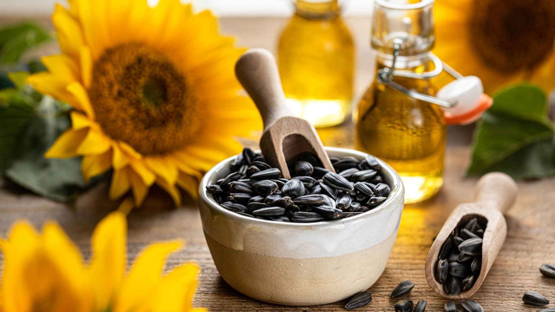 সূর্যমুখী বীজ খাওয়ার উপকারিতা কী?