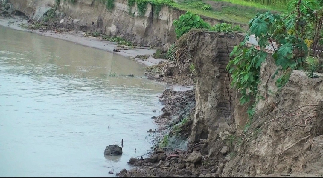 thumbnail_IMG_20240706_115746