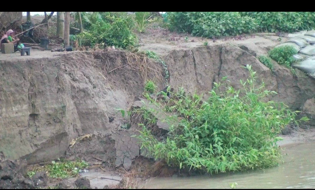 thumbnail_IMG_20240706_115833