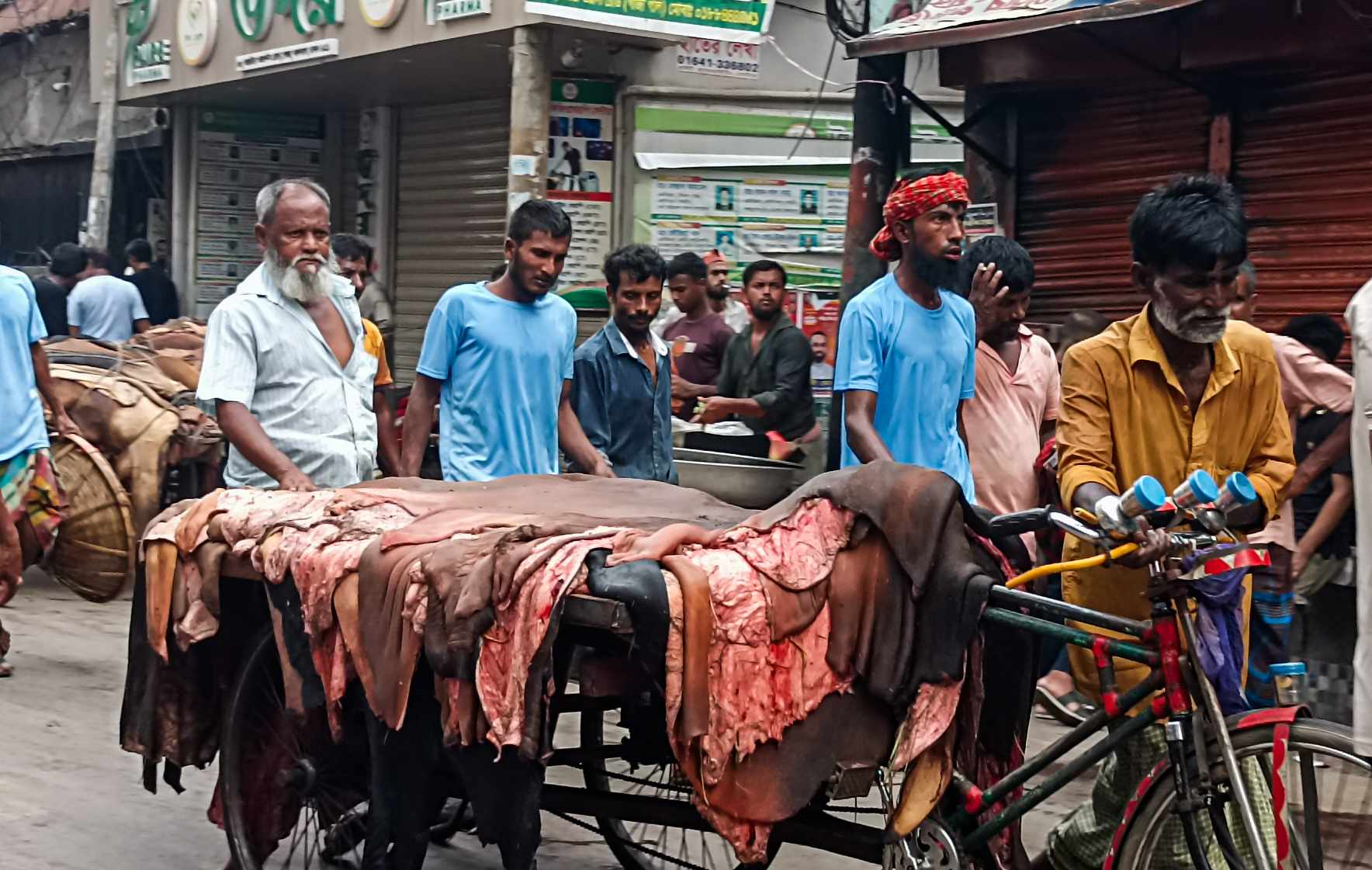 448228158_991438029315091_590730109113917408_n 448228158_991438029315091_590730109113917408_n