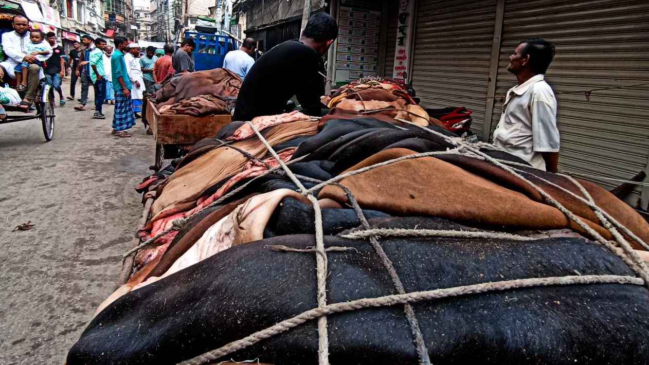 মৌসুমি ব্যবসায়ী কমেছে, ফিরেছে চামড়ার দাম