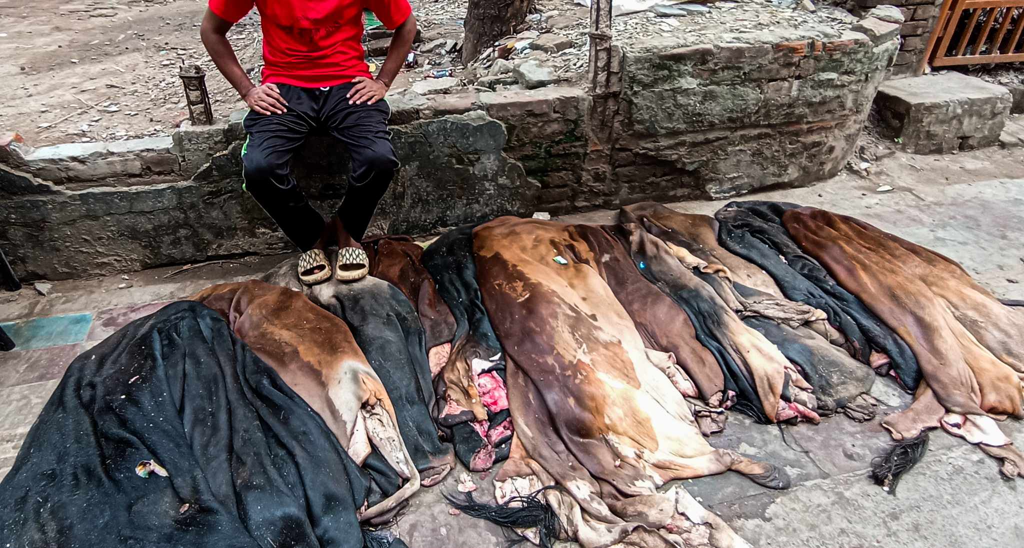 448558845_7407074109390432_7546242396262978207_n 448558845_7407074109390432_7546242396262978207_n