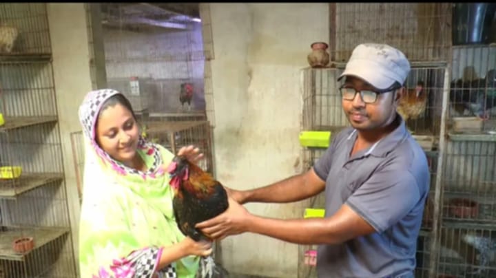 4657d019-2069-4f69-be6c-566ef40e1cfe