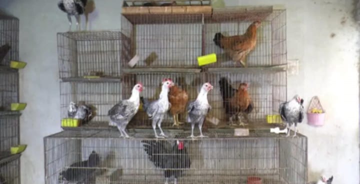 631927de-b18f-4cef-88b4-eab7deac29ba