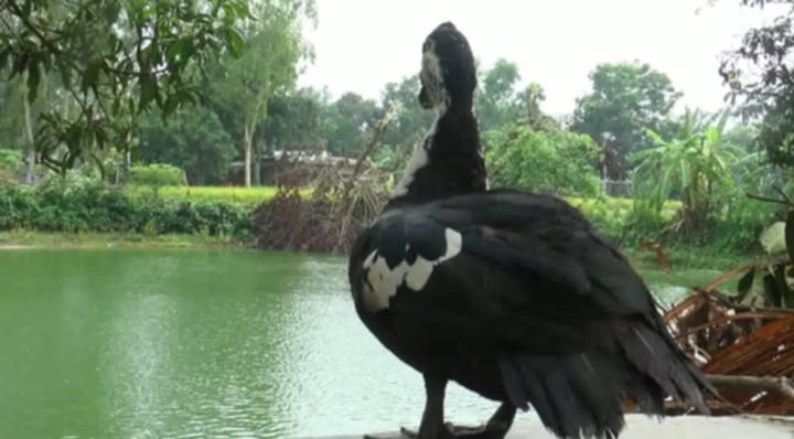 75d844f0-53ef-4dfb-a169-8b7b2efa6aab