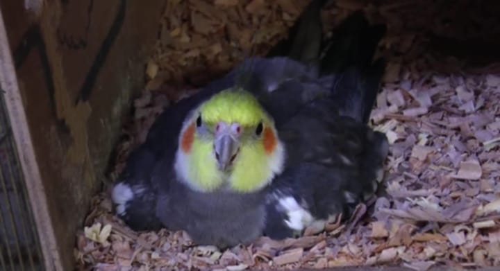 7fecccbd-6635-4704-8abf-39e5febbca43