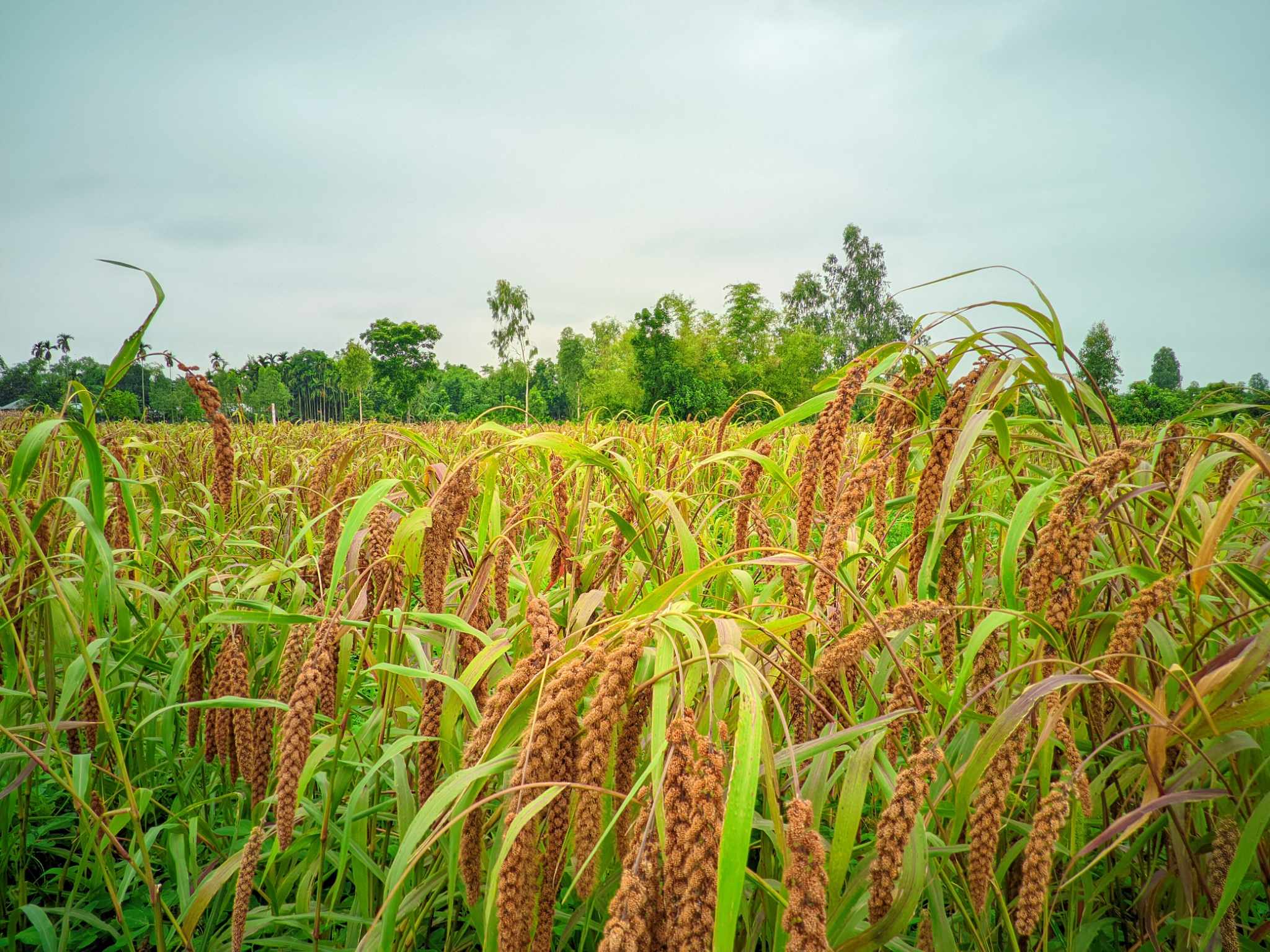 98bfb04e-83e4-41d2-9000-e08bc370e430 98bfb04e-83e4-41d2-9000-e08bc370e430