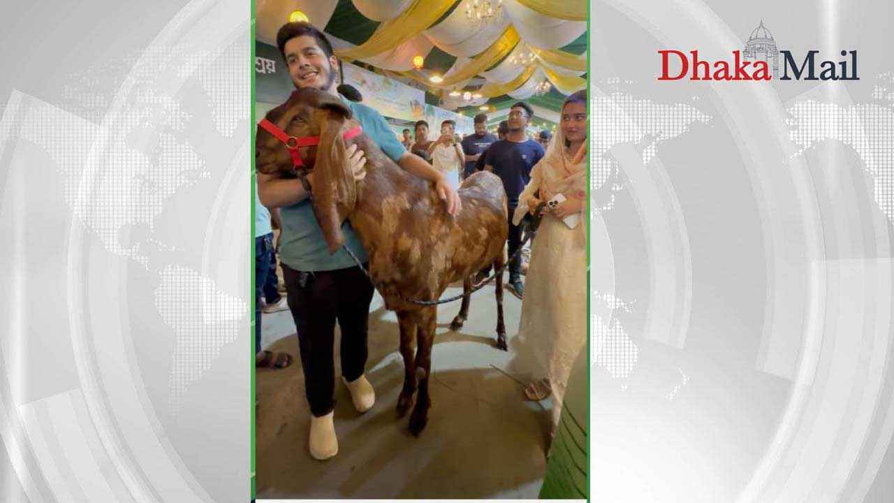 বুকিং দিয়ে লাপাত্তা ক্রেতা, ১৫ লাখের সেই খাসি নিয়ে বিপাকে সাদিক এগ্রো