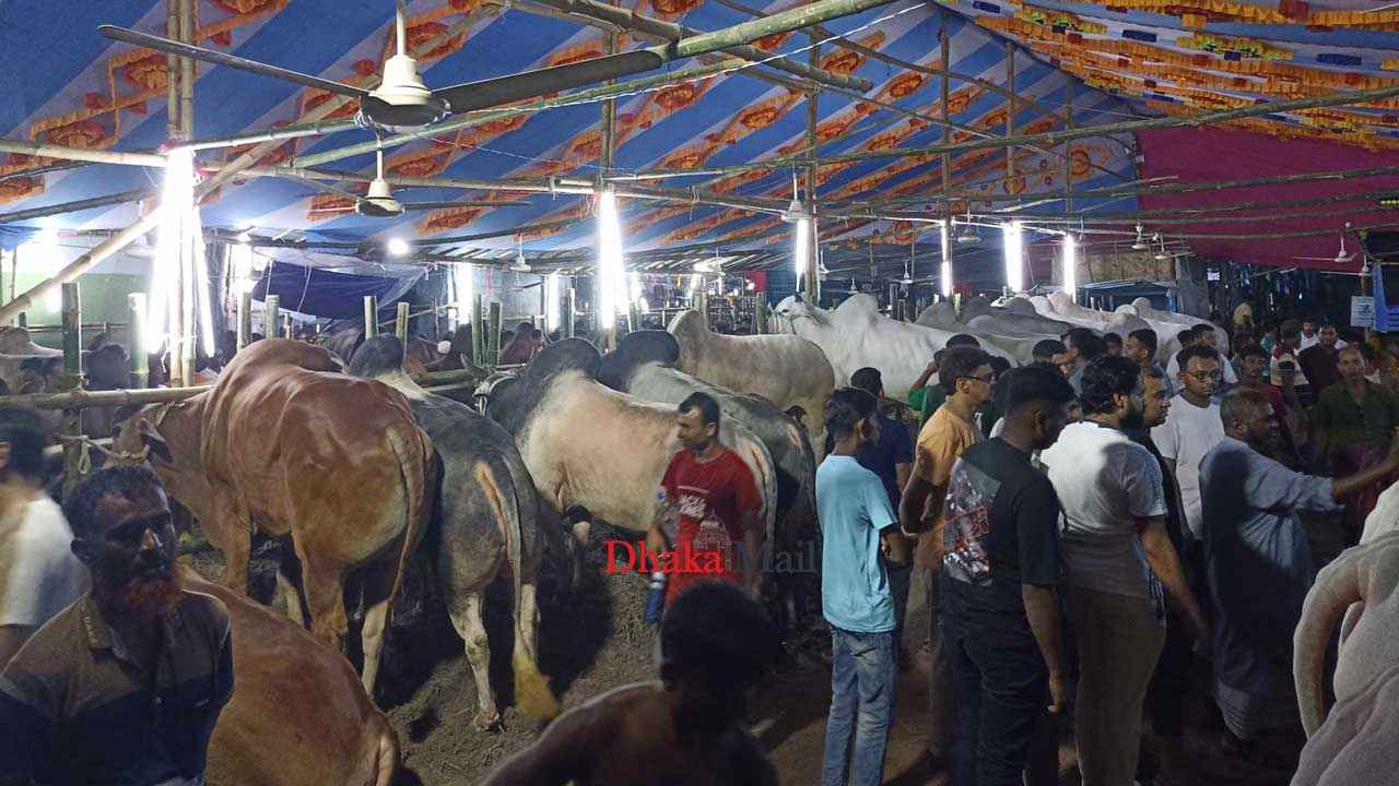 ক্রেতার খরা কেটে জমে উঠেছে গাবতলী হাট