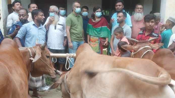 ফেনীর পশু হাটে অব্যবস্থাপনা, ৭০ হাজার টাকা জরিমানা