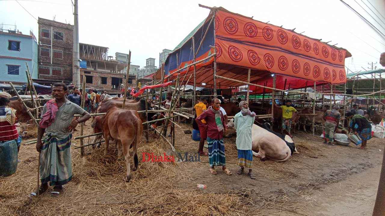 গরুর হাটে ক্রেতা সংকট, হতাশ বিক্রেতারা
