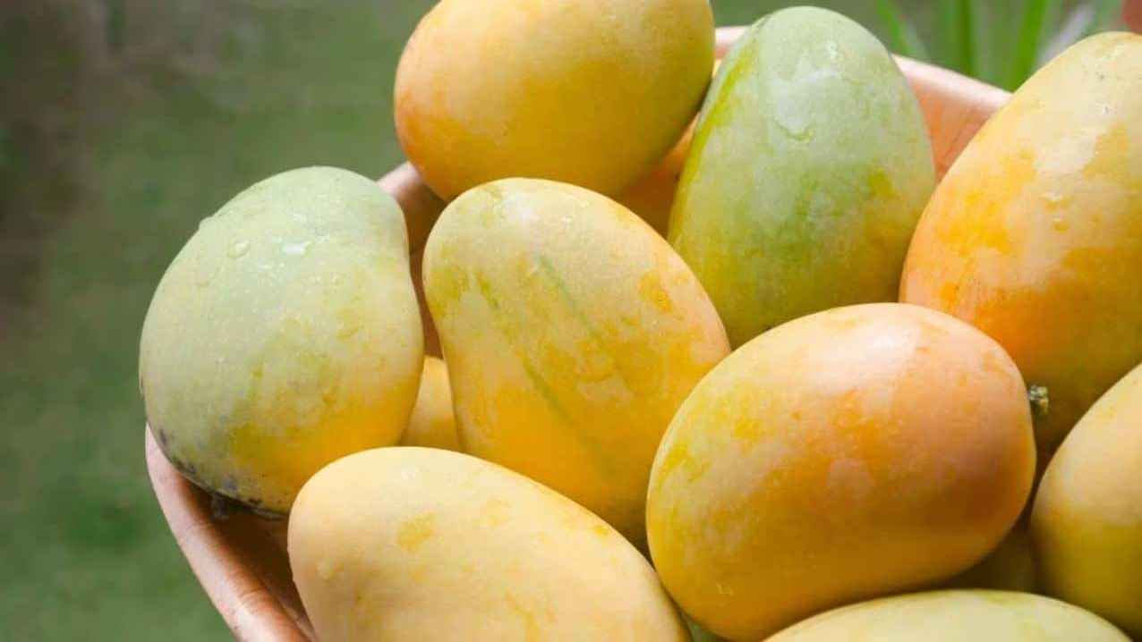 mango