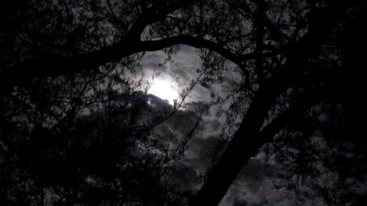 নিঃশব্দ প্রহর