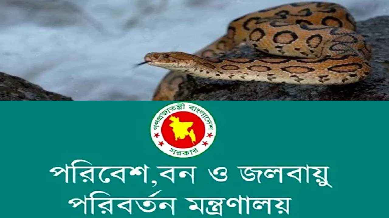 রাসেলস ভাইপার থেকে বাঁচতে একগুচ্ছ নির্দেশনা