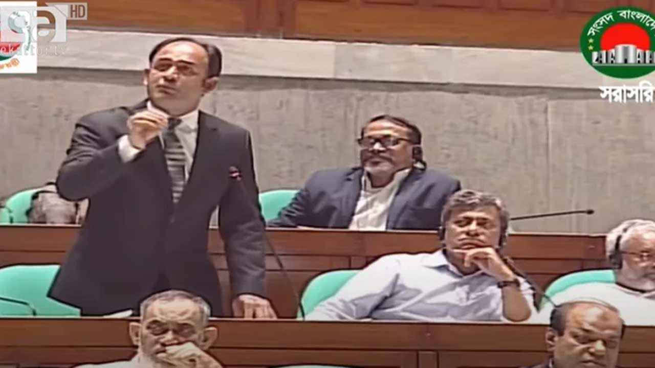 সরকারের বিভিন্ন জায়গায় রাসেলস ভাইপার আছে: ব্যারিস্টার সুমন