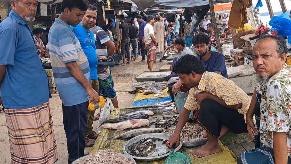 সরবরাহ কমের অযুহাতে বেড়েছে মাছের দাম