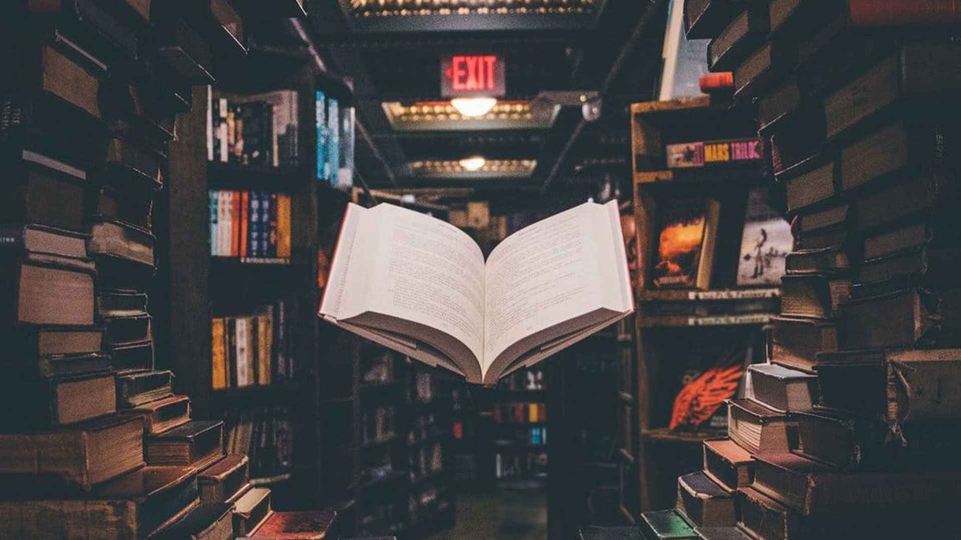 উইপোকার যন্ত্রণা থেকে শখের বই বাঁচানোর উপায়